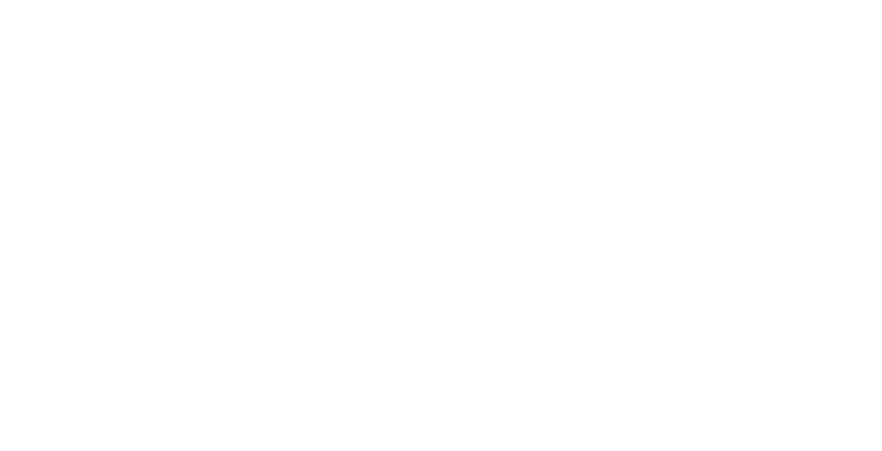 PP_logo_wht